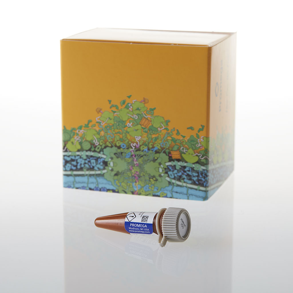 CC1 pan-Kinase Inhibitor, 100 µl