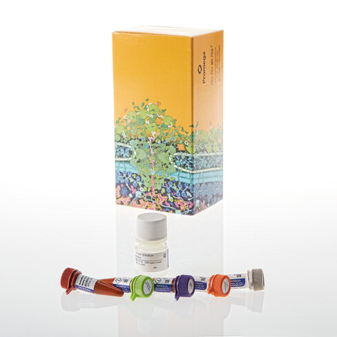 NanoBRET TE Intracell E3Ligase Asy CRBN 100 tests