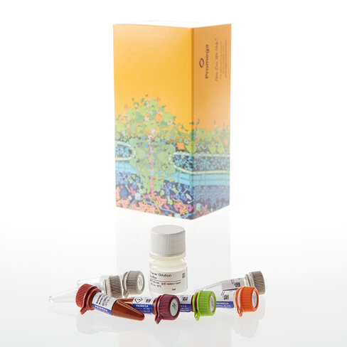 NanoBRET TE Intracell E3Ligase Asy CRBN 1000 tests