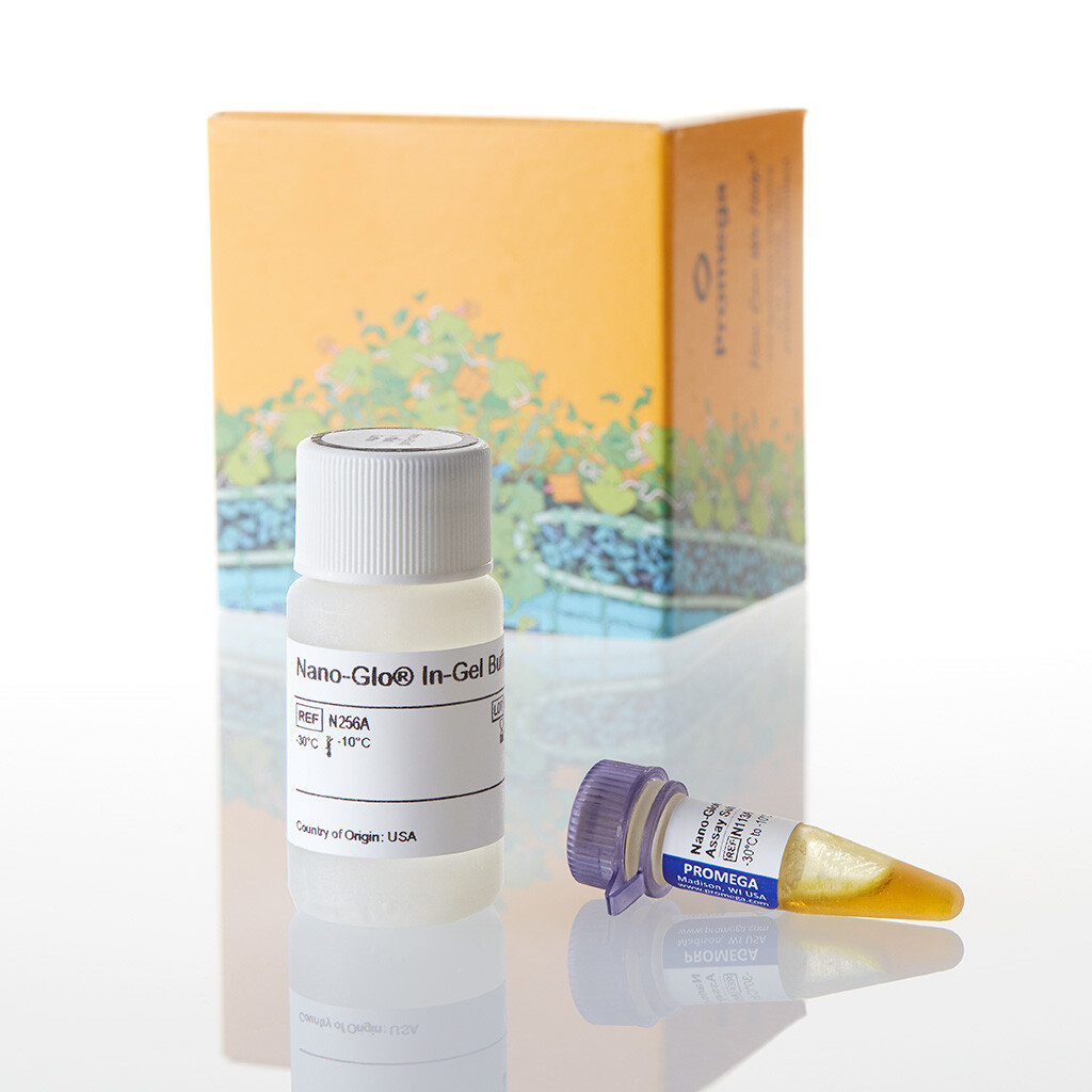 Nano-Glo In-Gel Detection System 100 mL