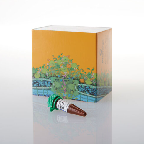 NanoBRET 590 PEG(O4) SE, 5 mg