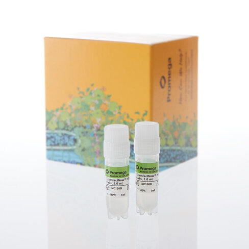 TransfectNow HEK293 Cells, 2 x 1 ml