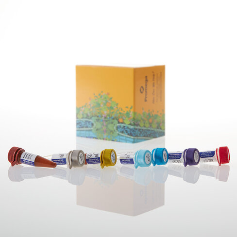 NanoBRET Ubiquitination Starter Kit 1 each