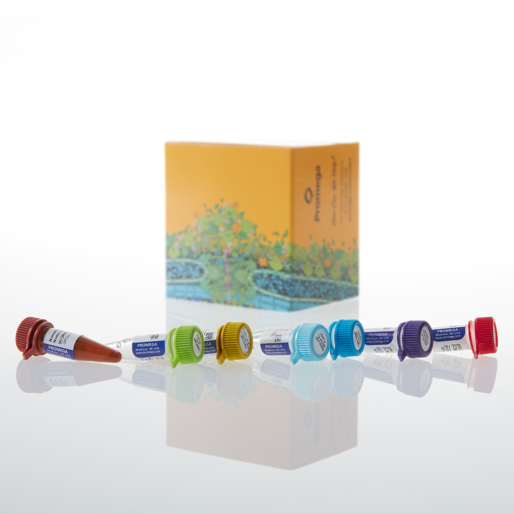 NanoBRET VHL Ternary Complex Starter Kit 1 each