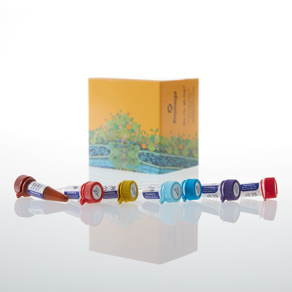 NanoBRET CRBN Ternary Complex Starter Kit 1 each