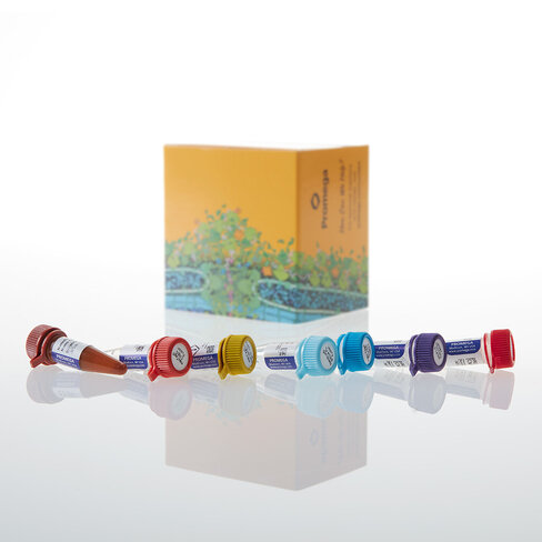 NanoBRET CRBN Ternary Complex Starter Kit 1 each