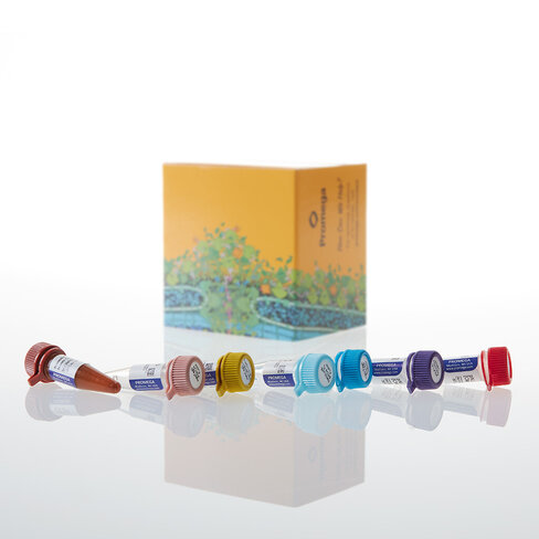 NanoBRET Proteasomal Recruitment Starter Kit 1 each