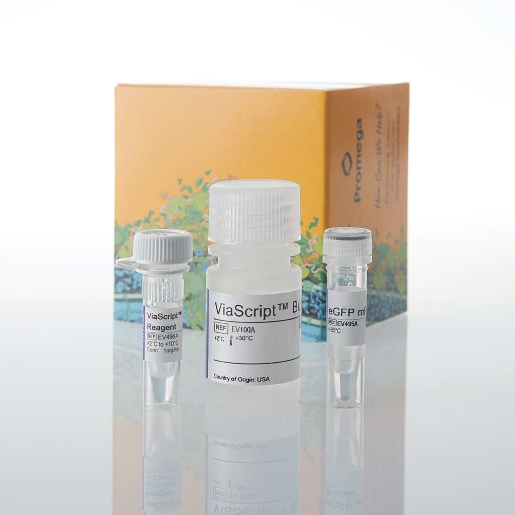 ViaScript mRNA Transf Reagt plus eGFP