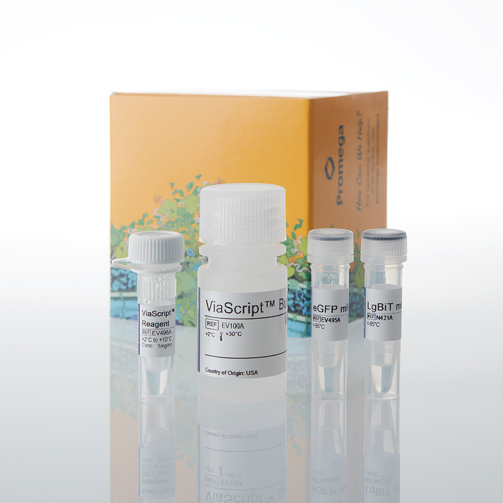 ViaScript LgBiT mRNA Delivysystplus eGFP