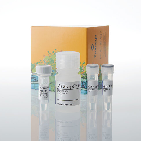 ViaScript LgBiT mRNA Delivysystplus eGFP