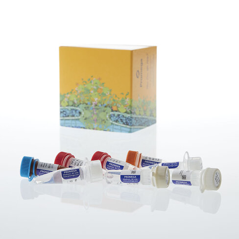 ProNex DNA QC Assay ABI 7500/7500FAST 200 réactions