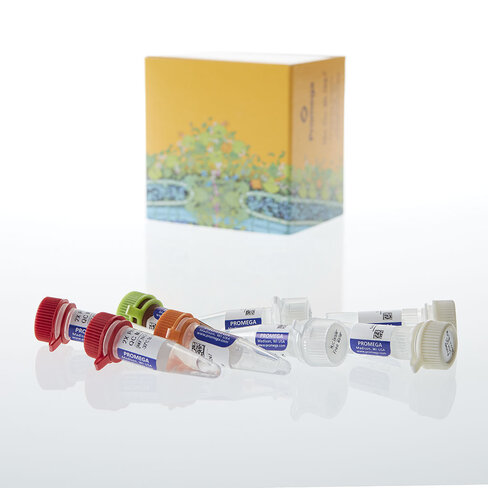 ProNex DNA QC Assay BioRad CFX96 200 réactions