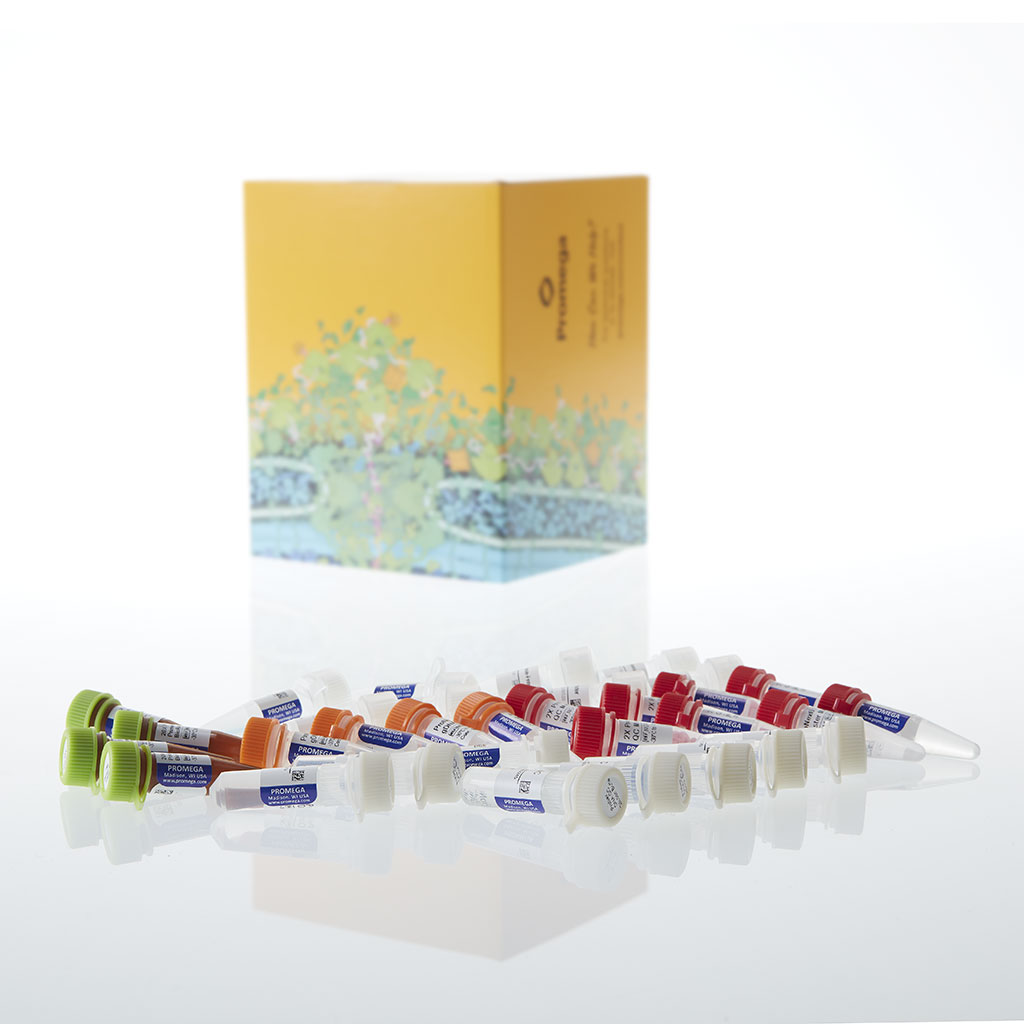 ProNex DNA QC Assay BioRad CFX96 800 réactions