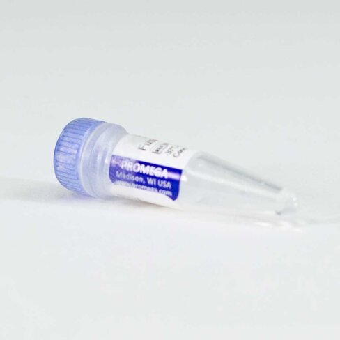 NanoLuc -FGR Fusion Vector