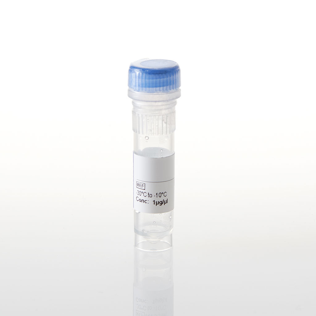 TEK(R849W)-NanoLuc Fusion Vector