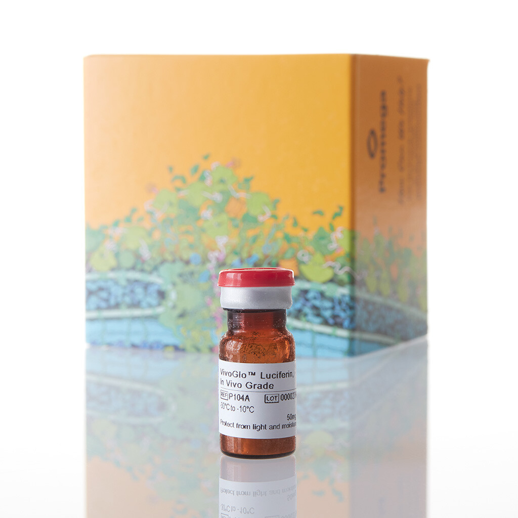 VivoGlo Luciferin In Vivo Grade 50mg 50mg 50 mg