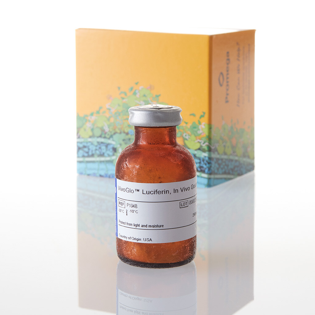 VivoGlo Luciferin In Vivo Grade 250mg 250mg 250 mg