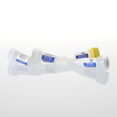 SP6 RNA Polymerase 5,000u 5u 5 unités