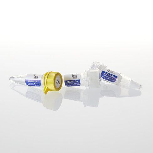 SP6 RNA Polymerase 1,000u 1000u 1000 unités