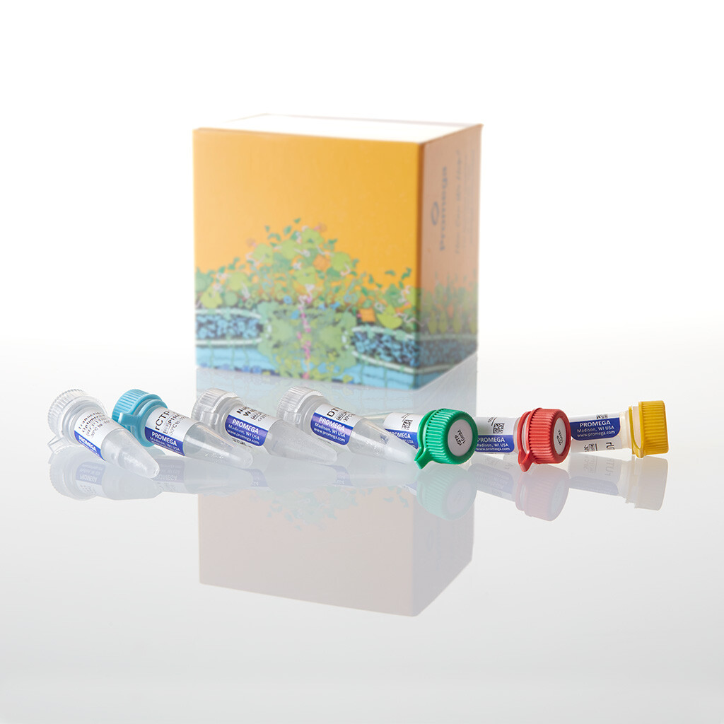 Riboprobe System Buffers