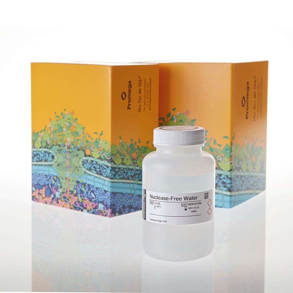 Nuclease-Free Water 150 mL