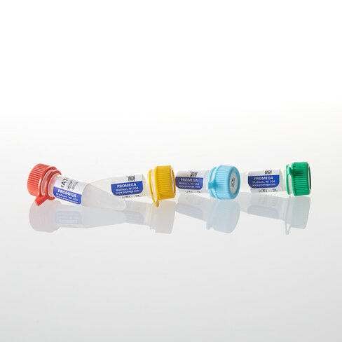 RATP rCTP rGTP rUTP each at 10mM 0,5 mL