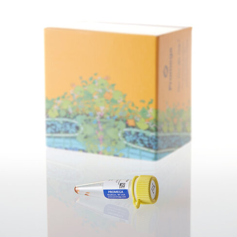 ViviRen In Vivo Renilla Luciferase Sub 0,37mg 0,37 mg