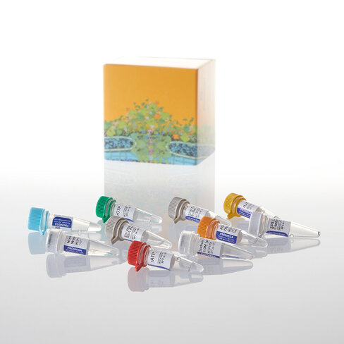 RiboMAX Large Scale RNA Production Sys 1système 1 système