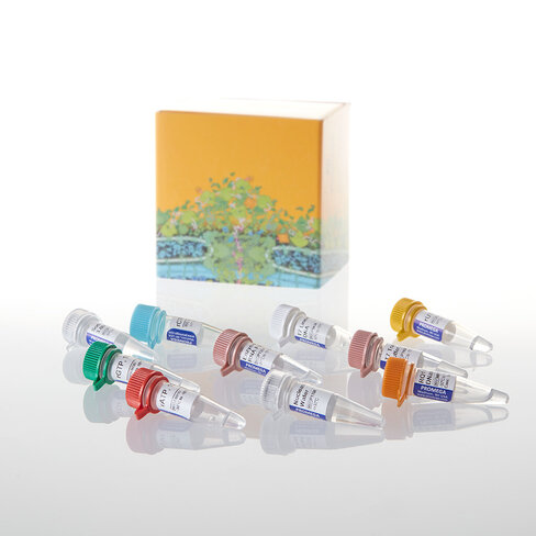 RiboMAX Large Scale RNA Production Sys 1système 1 système