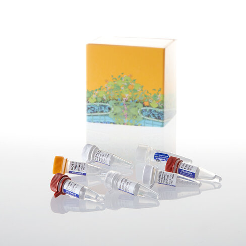 T7 RiboMAX Express Large Scale RNA Pro 1système 1 système