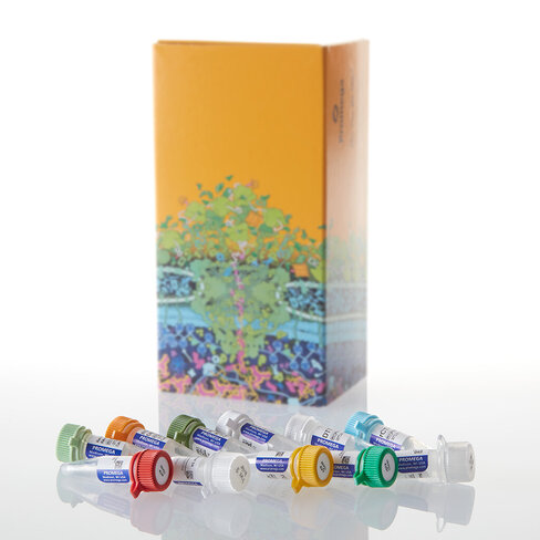 Riboprobe System - T7 1système 1 système