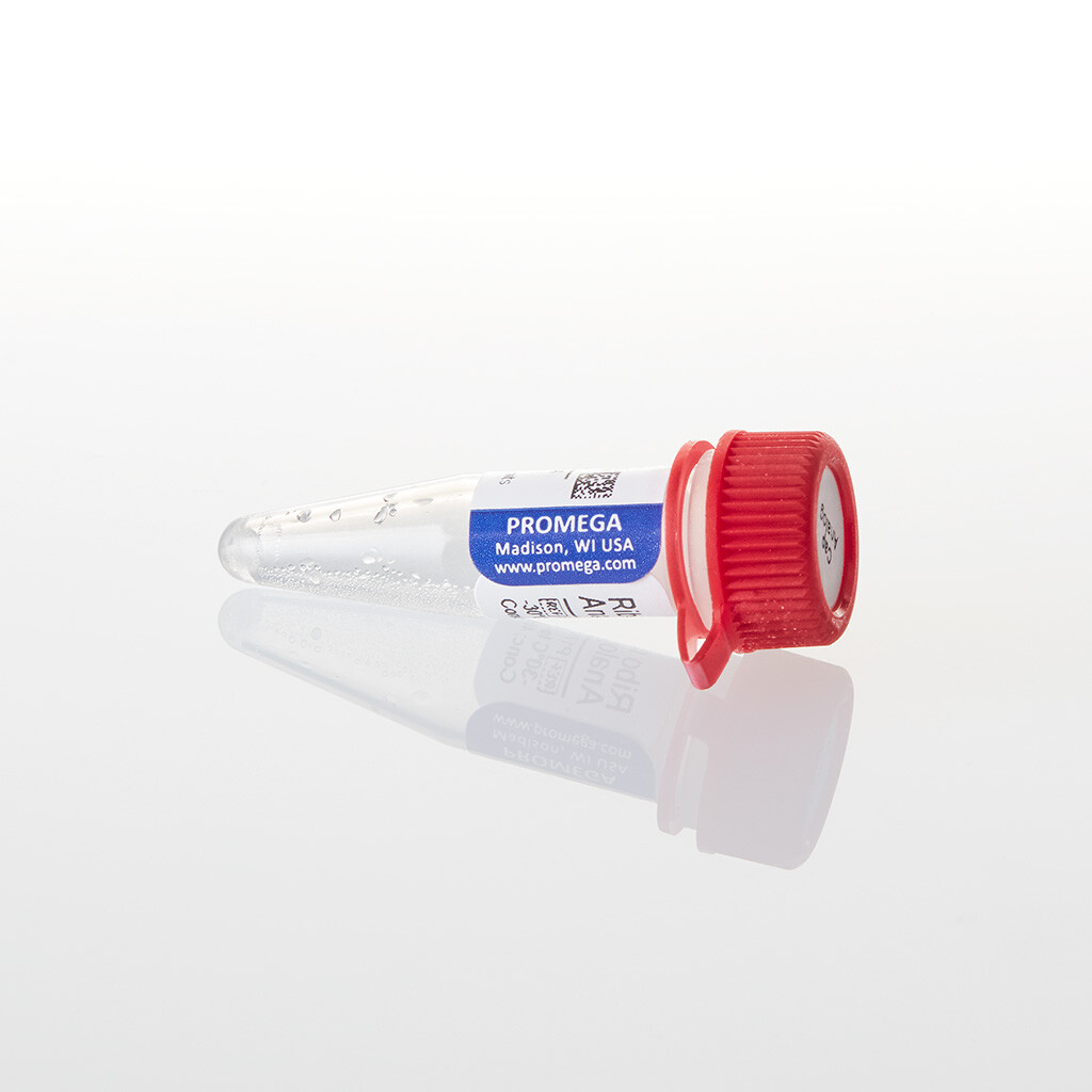 Ribo m7G Cap Analog 10 A254 units 10A254 units 10 unités