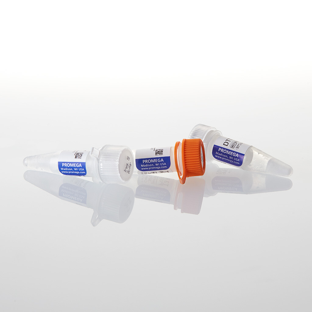 T3 RNA Polymerase 1,000u 1000u 1000 unités