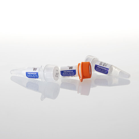 T3 RNA Polymerase 1,000u 1000u 1000 unités