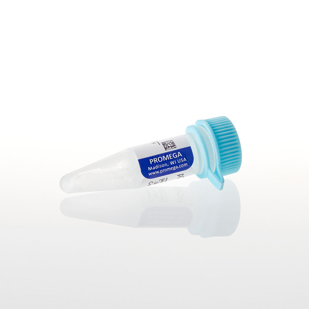 PGEM -3Z Vector 20 µg