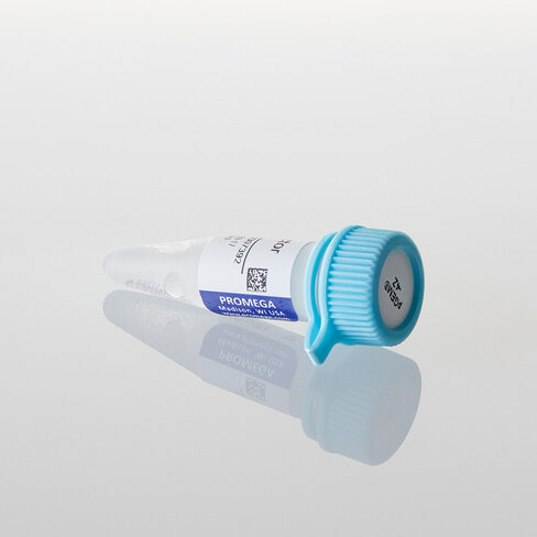 PGEM -4Z Vector 20 µg