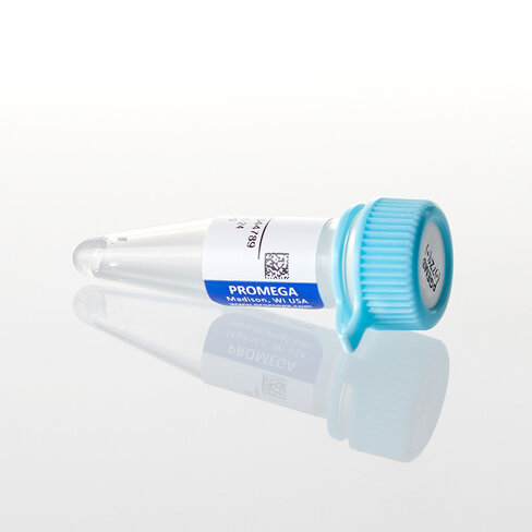 PGEM -7Zf(+) Vector, 20 µg