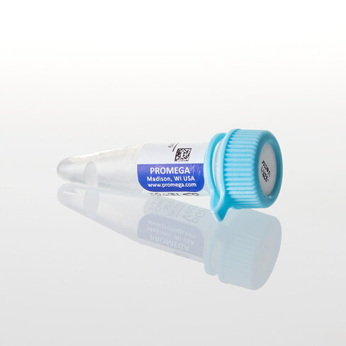 PGEM -3Zf(-) Vector 20 µg