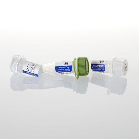 T7 RNA Polymerase (HC) 10,000u 10000u 10000 unités