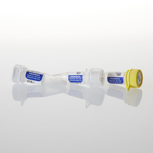 SP6 RNA Polymerase (HC) 2,500u 2500u 2500 unités