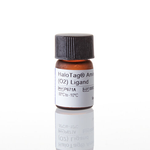 HaloTag Amine (O2) Ligand