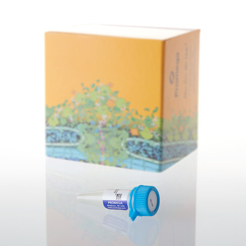 Bacterial Strain JM109 5mg 500 µl