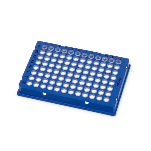 Plaque PCR 96 puits, tubes en PP transparents, cadre en PC bleu, compatible ANSI Bio-Rad, sachets de 10, x50.