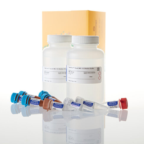 PowerSeq Quant MS System 500 réactions