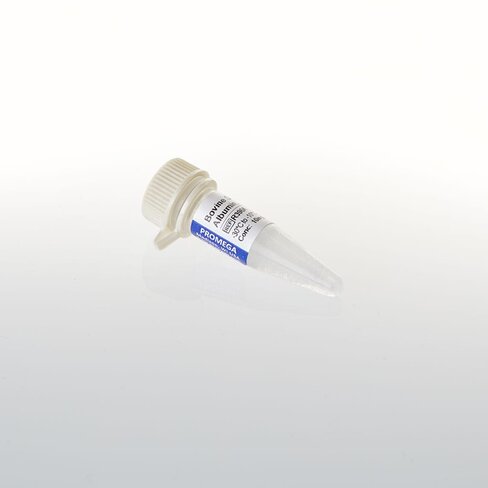 Bovine Serum Albumin Acetylated 10mg 1 ml