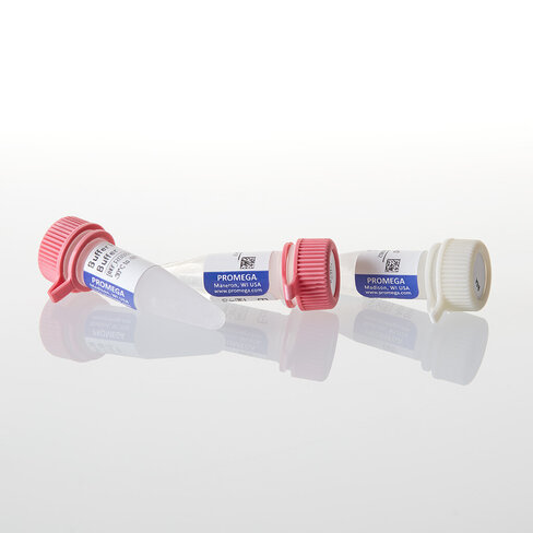 EcoRI (HC) 25,000u 25000u 25000 unités