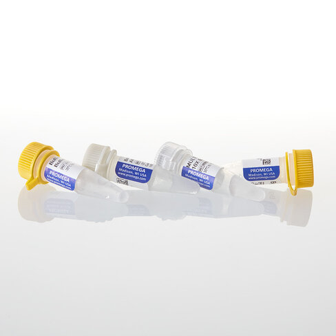 BglI 1,000u 1000u 1000 unités