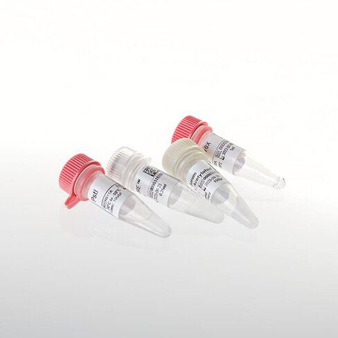 PstI 3,000u 3000u 3000 unités