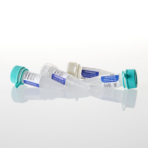 SmaI, GQ 5000 unités