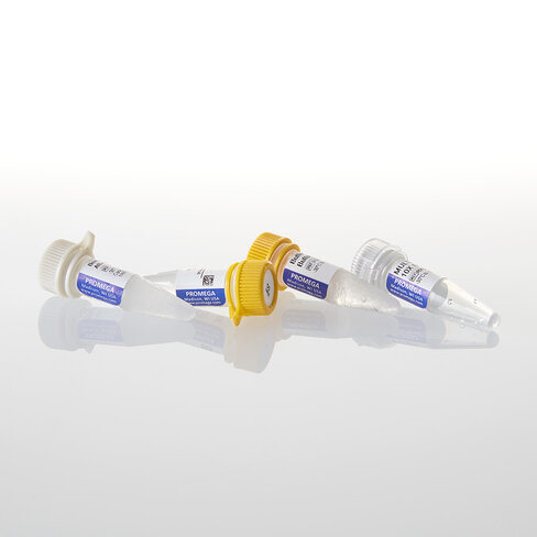 XbaI GQ 10,000u 10000u 10000 unités